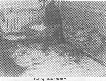59 Salting fish