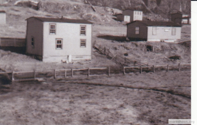 The house in the foreground belonged to Amelius and Ettie (Ennis) Best and was floated over across the harbour from it's place on Stella's Lane in Little Merasheen in about 1930.&amp;nbsp; It was originally owned by Amelius' sister&amp;nbsp;Stella (Best) Ennis whose first marriage was to Joe Ennis who died at age 37 on Christmas Eve, 1929 leaving Stella with 5 children from infant to 11 years.&amp;nbsp; Later Stella moved away and married Ned Traverse and then Bernard Traverse and lived to be 100. Stella's Lane is where Clem had a cabin (behind Johnny Ennis house). The house to the right: Clem Best; the house behind: Mac Best; the house to the far right: Cleverly Best.
