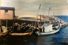 Pitcher's Point fishing premises circa 1962 after Ron finished building his new punt.&amp;nbsp; That's Joey Pitcher's dory on the wharf and Johnny Ennis' flat.&amp;nbsp; From the left, Joe, Bill, Gerry, Carl, Ron and Ron Jr.