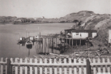 As per Mathilda Pomroy:&amp;nbsp;Pomroy's fishing premises. It must have been Sunday morning because all the men are wearing their Sunday best. Everyone always dressed up on Sunday, the day of rest. The only time they fished on Sunday was for the Church. What money they made for that day, went to the church. This was taken in 1959.&amp;nbsp; Punt closest to the fence is Pat's, outside is Tom Houlihan's, by the wharf is Leo's skiff (known as the Sea Dog), and the other one is Joe Casey's skiff. It is springtime because the dory is on the wharf. It hasn't been put out yet. Men are Leo Pomroy, Joe Casey, Raymond Leonard and Billy Houlihan. Jack Barnett's house is to the left on Soldier Point.