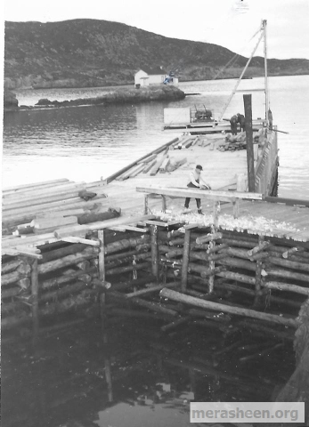 Building the original plant wharf in 1954 with a young Joe Casey planing&amp;nbsp; a beam.