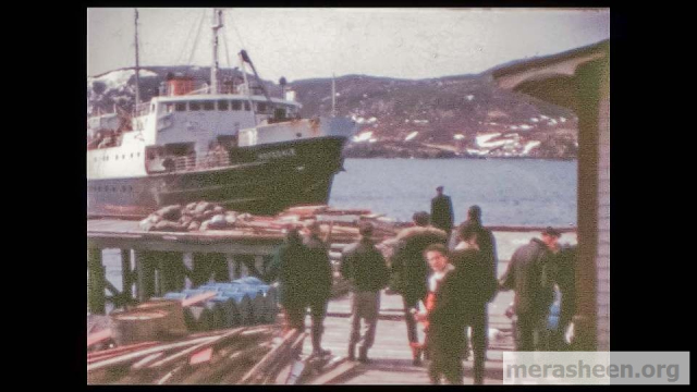 On the government wharf
