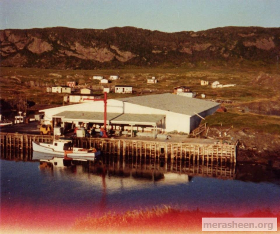 Construction of the fish plant was completed in May 1956, the building approximately 145 by 85 feet with the usual areas for salting, holding dry fish, mechanical and electrical equipment and one small dryer.