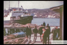 On the government wharf