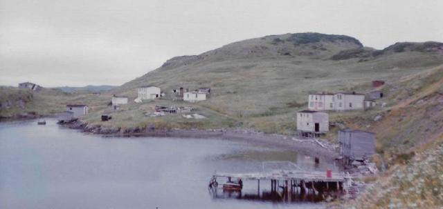 16 View across Hickey's Bottom from the Co-op to Tom Houlihan's to Tommy and Charlie Pittman houses.