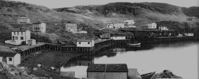 32 Barry - Walsh - Hann houses