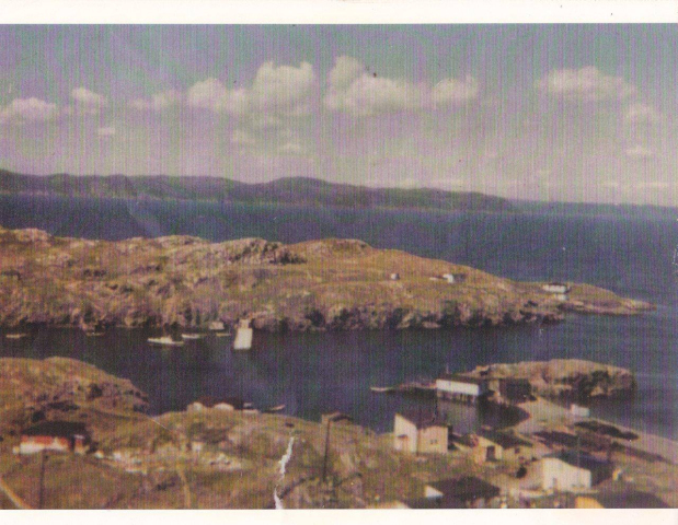 54 Little Merasheen. Top left green house is Jimmimmy Barrett, then out to Pitcher's Point is Mike Ennis' house and then Ron Pitcher's house and fishing premises. Coming back in the harbour is the breakwater built in the early 60s, Mike Ennis' stage and Jimmy Barrett's stage. At bottom left is Paddy Ennis' house, Johnny Ennis' stage, Hennessey's house, George (?) Wilson's stage on the Fender and some of the Wilson houses.