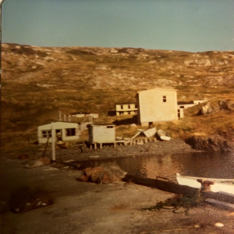 56 Little Merasheen circa 1970, with Hennessey's house in the foreground.
