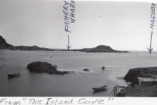 19 View from the Island Cove from Din Pat Fulford's fishing premises.