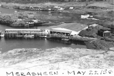 37 Fish plant and area c1956